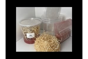 BugBoy4Ever Flightless Fruit Fly (D. hydei) Culture kit - Includes: 1 Complete Culture, 3 containers with lids, 4 oz Dry Medium, Wood Wool, with Directions