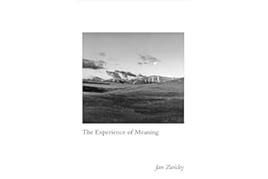 The Experience of Meaning