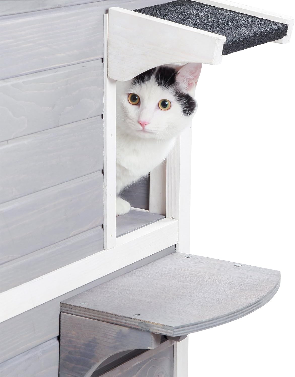 Petsfit 2-Story Weatherproof Outdoor Kitty Cat House/Condo/Shelter with Escape Door : Pet Supplies