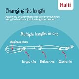 Halti Training Lead double ended no-pull small 2m burnt orange view 2
