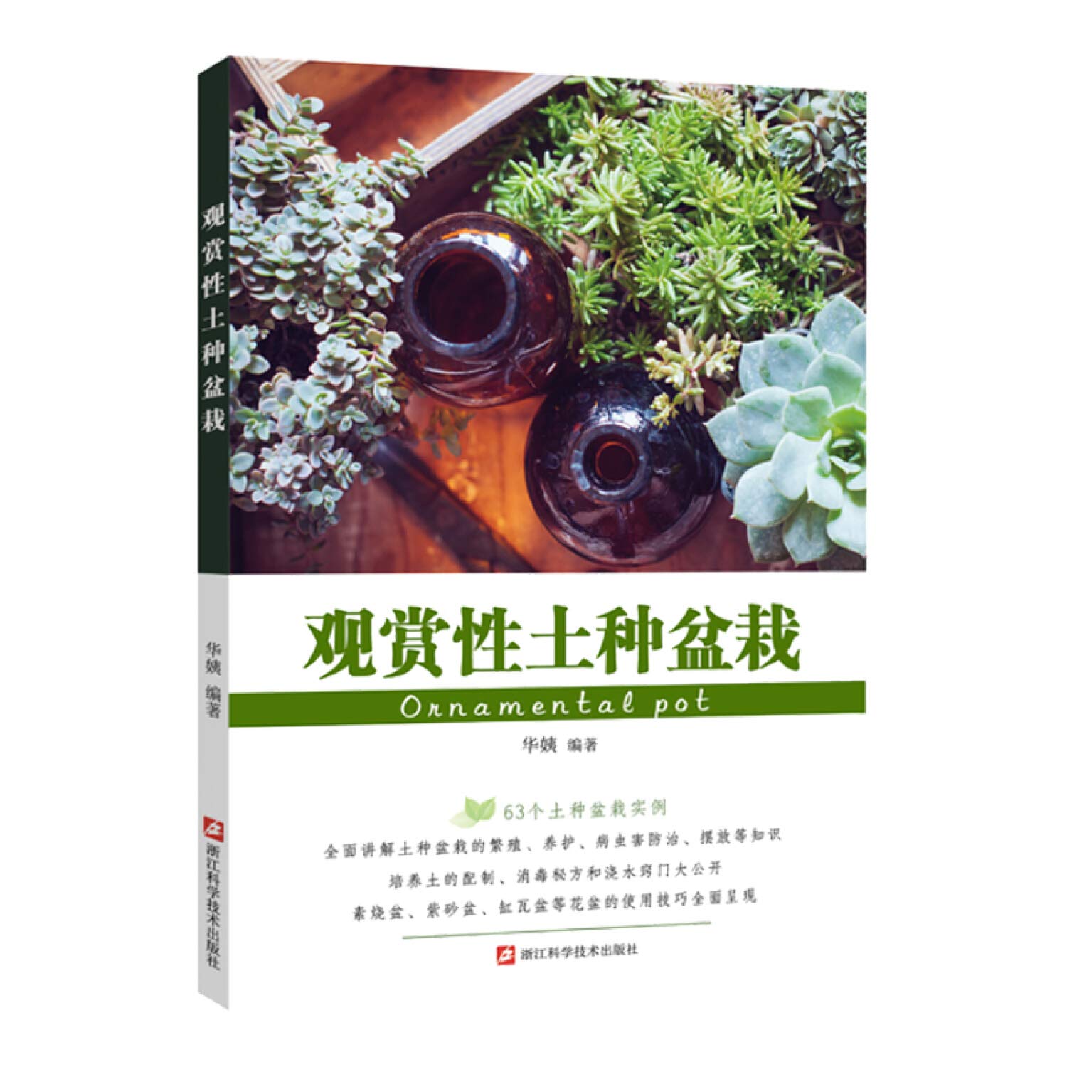 观赏性土种盆栽 华姨 Amazon Com Books