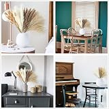 ANPROOR Dried Pampas Grass Decoration 100 Pcs Bunny Tail Dried Flowers view 7