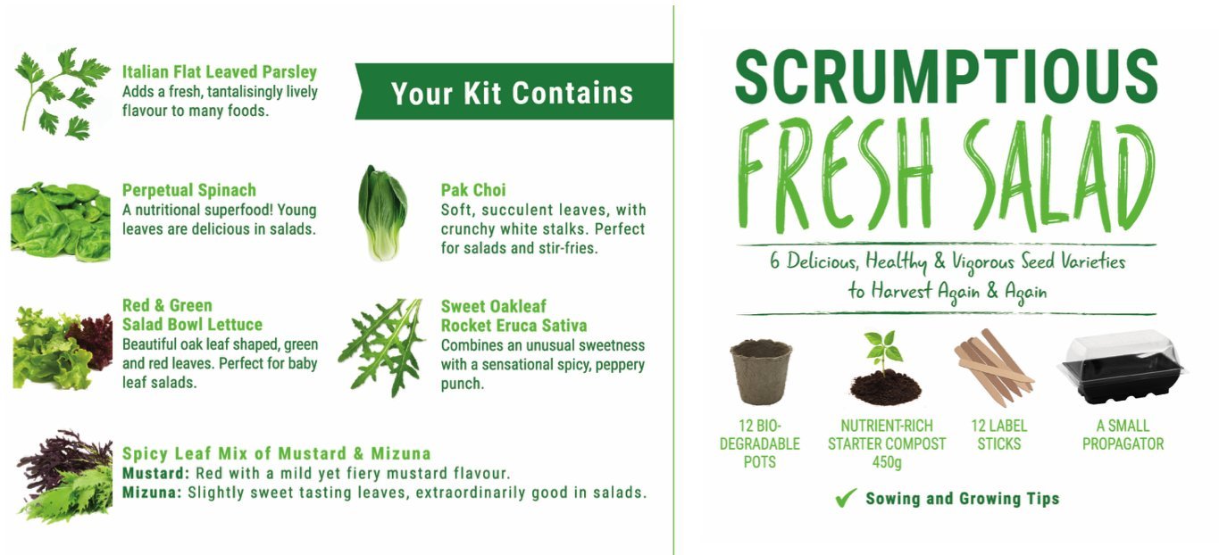 Sow Lush Set de Cultivo de Semillas para Ensalada «Scrumptious ...