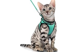rabbitgoo Cat Harness and Leash Set for Walking Escape Proof, Adjustable Soft Kittens Vest with Reflective Strip for Cats, Comfortable Outdoor Vest, Green, XL