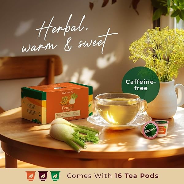 GYA TEA CO FENNEL HERBAL TEA POD (16 CT) – DECAF WELLNESS TEA FOR GOOD NIGHT’S REST OF BLOATING & DIGESTION