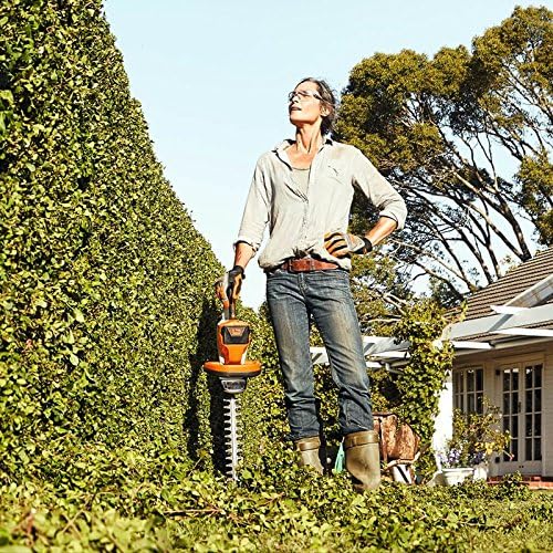 stihl hsa 56 amazon