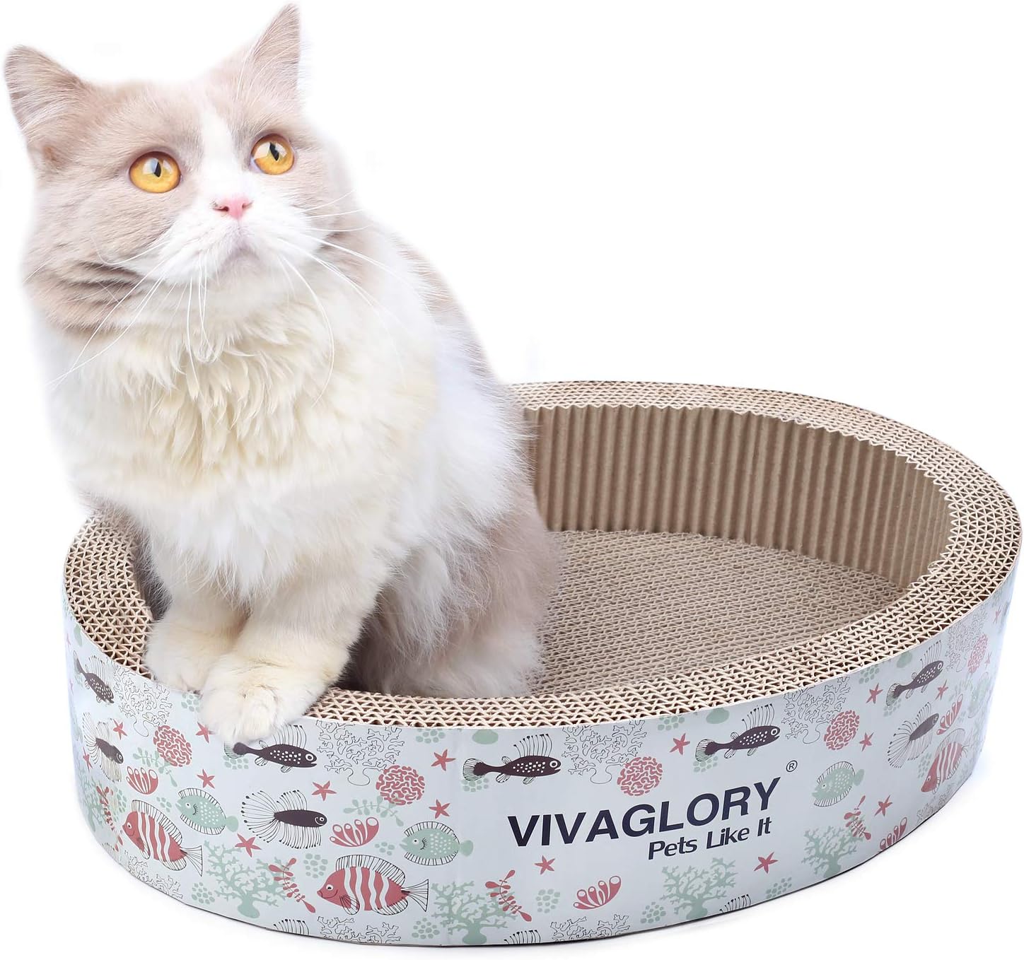 Best corrugated cat scratcher furniture