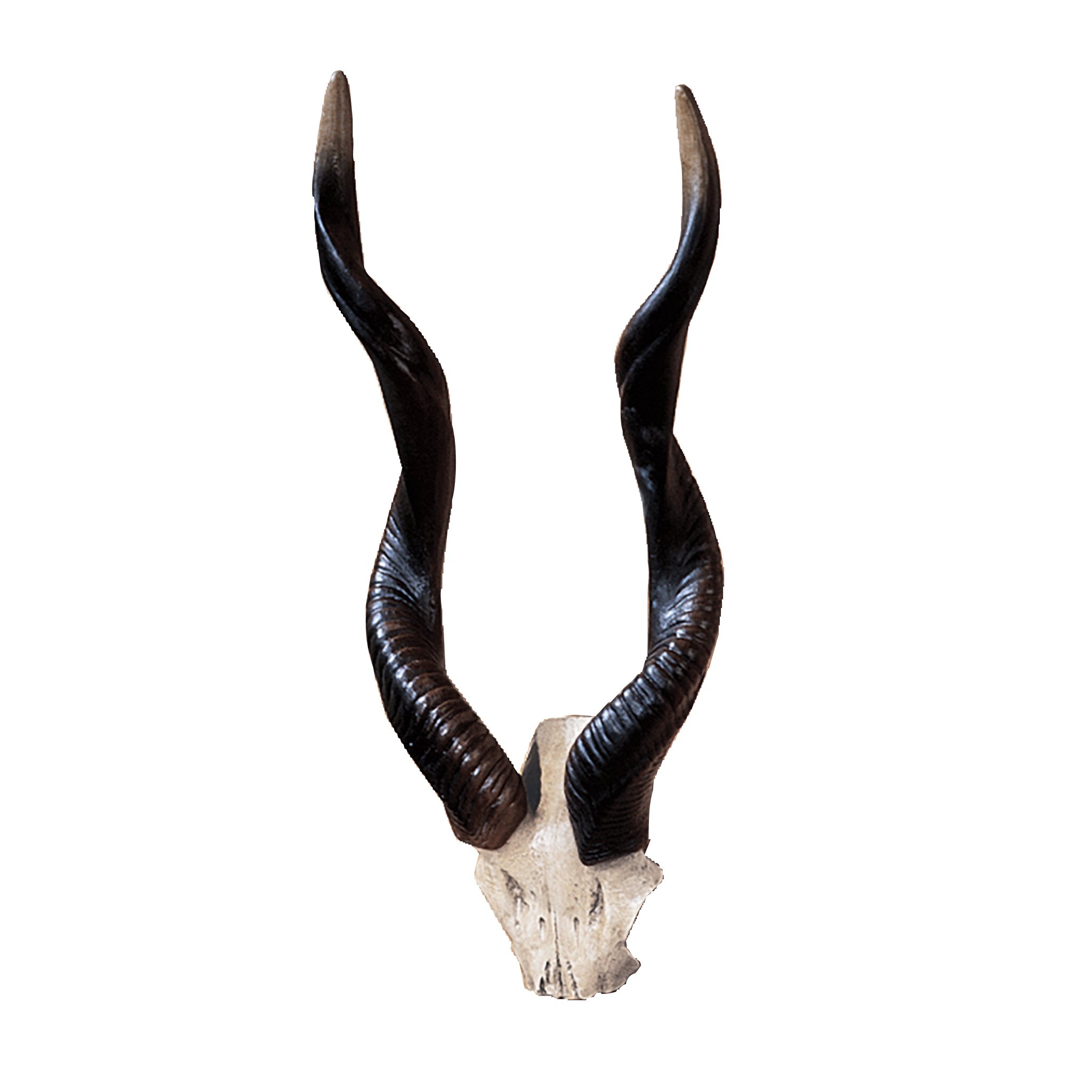 Design Toscano NG32187 Kudu African Wall Trophy