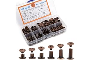 ALLOYPRO 90 Sets Chicago screws Assorted Kit 6 Sizes Red copper Leather Rivets 3/16(5mm)Screw Rivets Phillip Head Book Binding Posts Nail Rivet Chicago Bolts for DIY Leather Craft Bookbinding (5 x 4,6,8,10,12)