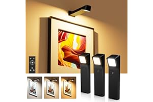 PopoIron 3 Pack Picture Lights for Wall with RGB Colors, Battery Powered Art Painting Lights with Remote, Cordless Picture Light for Posters, Rechargeable Wall Sconces