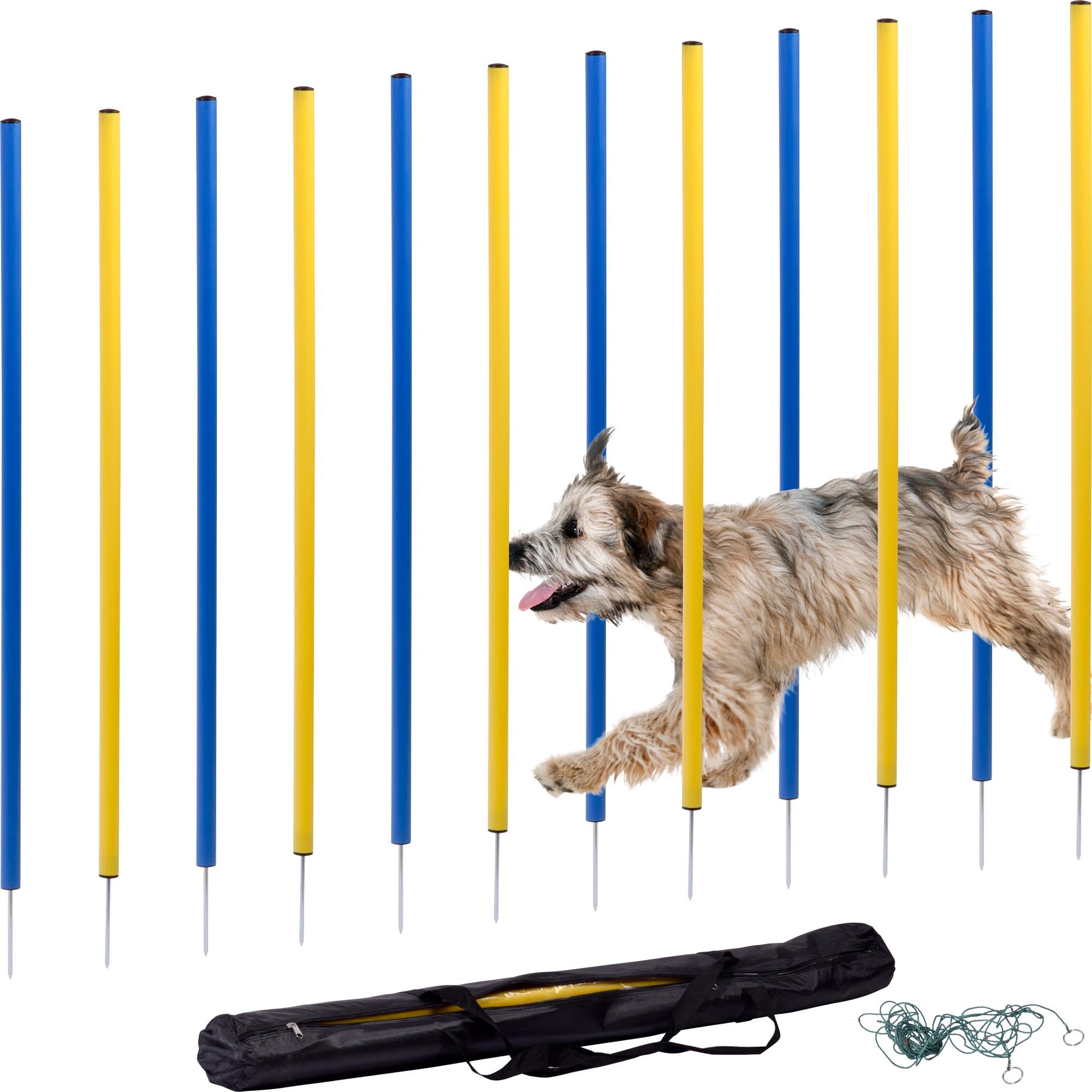 dobar® 50807 Agility Slalom Kit d'agility 12 pièces pour Chiens – Barres de Slalom Bicolores pour l'entraînement – Entraînement de dextérité en kit – Hauteur 110 cm – Bleu/Jaune