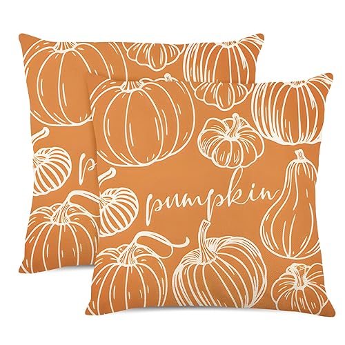 DUZXLCQ Fall Pillow Covers 18x18 inch Set of 2 Orange Pumpkins Thanksgiving Autumn Fall Decorative Throw Pillow Covers Farmhouse Decor Cushion Case Harvest Decorations for Couch Sofa Bed Home Outdoor
