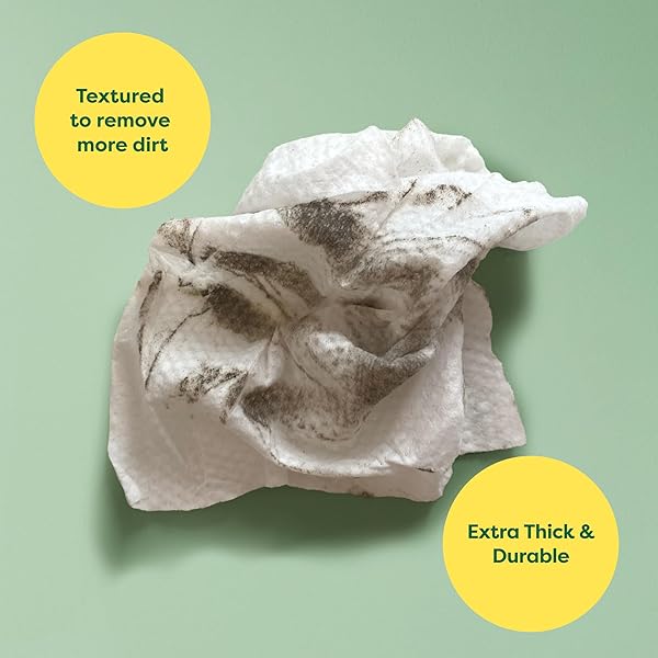 EARTH RATED PET WIPES FOR DOGS AND CATS, HYPOALLERGENIC, CLEANING AND HYDRATING, FOR GROOMING PAWS, BODY AND BUTT, UNSCENTED, 100 COUNT