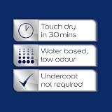 Dulux Quick Dry Satinwood Paint For Wood and Metal Black 750 ml view 5