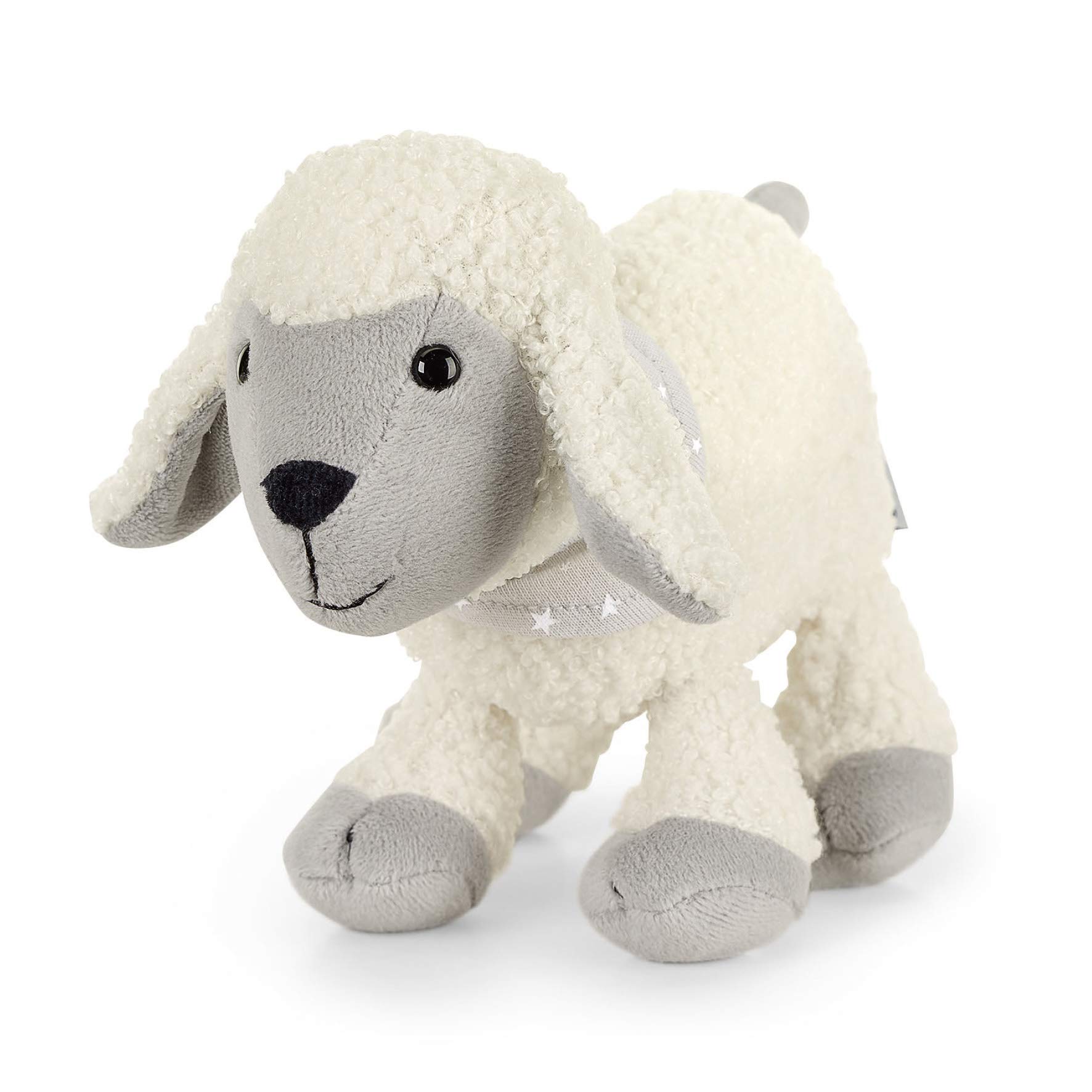 Sterntaler sheep