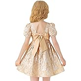 HNXDYY Flower Girl Tutu Birthday Party Pageant Lace Princess Wedding Formal Pegeant Dance Gown