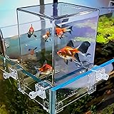 Naiveferry 1Pc Clear Above Water Fish Tank, Aerial