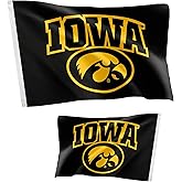 Desert Cactus University of Iowa Flag Double Sided Hawkeyes Banners 100% Polyester Indoor Outdoor 3x5 feet Flags (Double Sided - Flag 7)