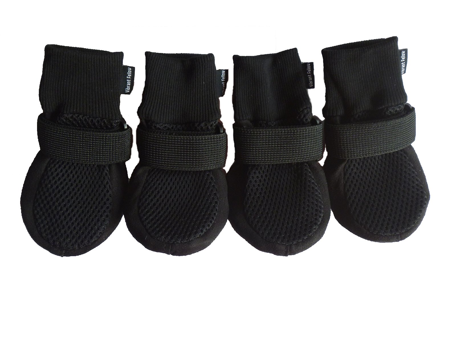 vibrant fellow dog boots