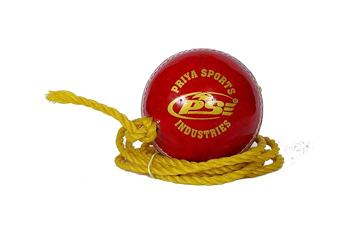 PSE Priya Sports PSEREDPRACTICE1 Leather Cricket Ball (Red)