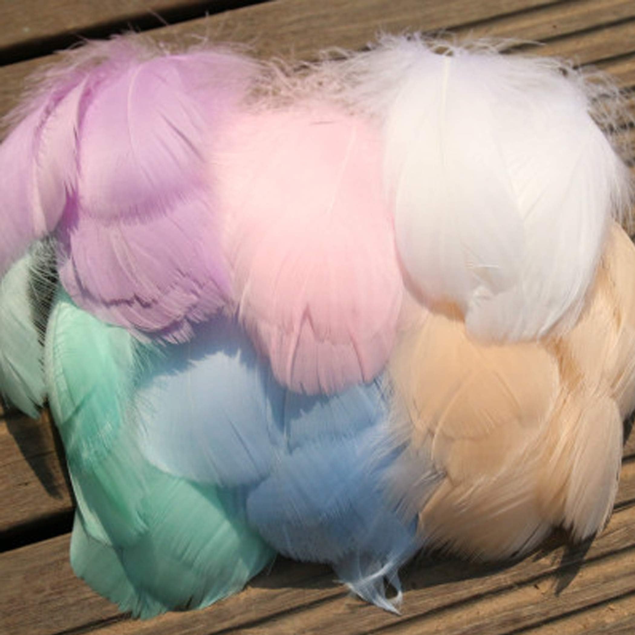 GCOA 700PCS 8-12cm Colorful Feathers for DIY Various Craft Wedding Birthday Home Festival Party Decorations （7 Colors）