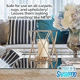Pro-Kleen Carpet & Upholstery Shampoo Ocean Fresh 5L High Concentrate view 2