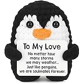 Anniversary Valentines Day Boyfriend Girlfriend Gifts for Her Him - Cute Couple Gift for Boyfriend Girlfriend Husband Wife Bi