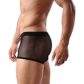 Evankin Men's Underwear Sexy Mesh Breathable Boxer Briefs Low Rise Cool Valentines Boxers Pack Set