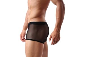 Evankin Men's Underwear Sexy Mesh Breathable Boxer Briefs Low Rise Cool Valentines Boxers Pack Set