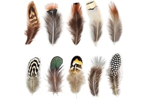 ANTUNIHOD Lot de 300 plumes de faisan naturelles de 10 styles pour loisirs créatifs, vacances et décorations (10 styles/30 pi