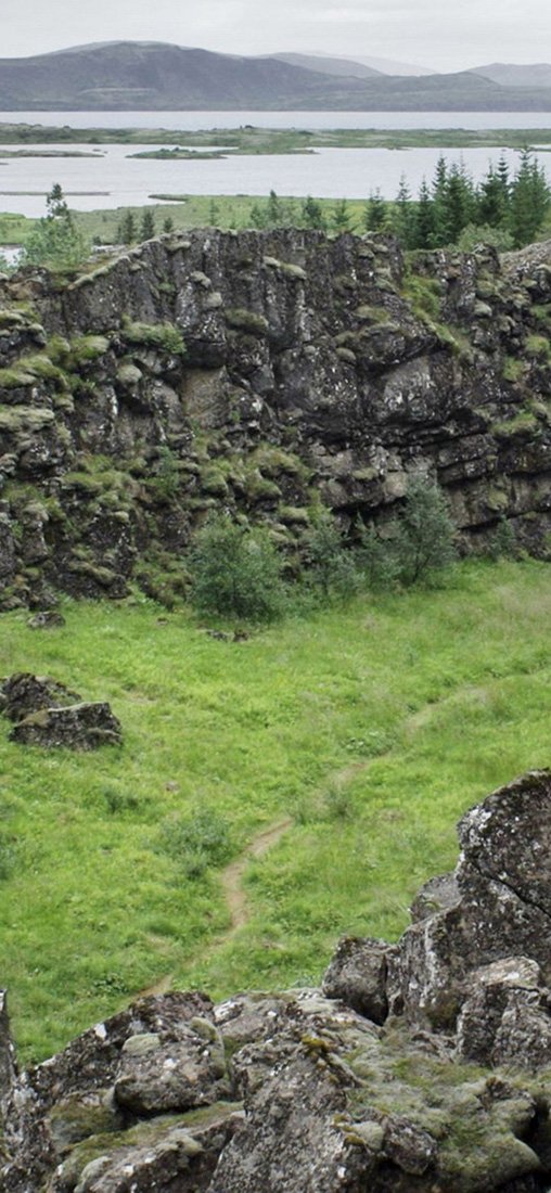 PeelitStickit, Beautiful Nature Wall Murals, ID-0882, vinyl