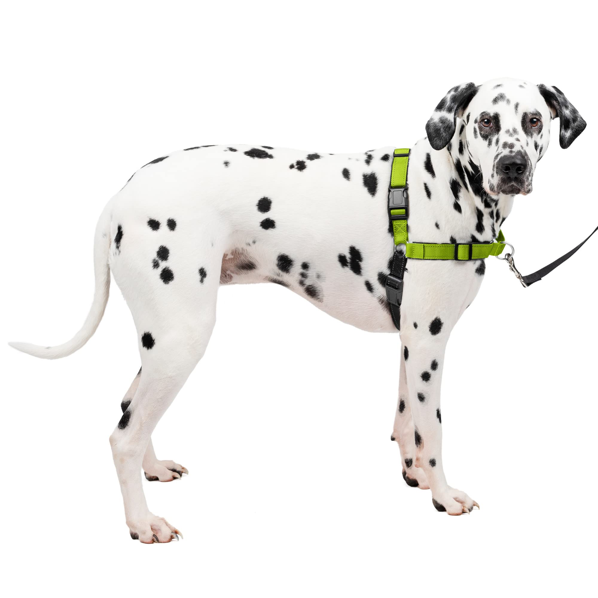 Photo 1 of PetSafe Easy Walk Deluxe Dog Harness, No Pull Dog Harness – Perfect for Leash & Harness Training – Stops Pets from Pulling and Choking on Walks – Large, Apple