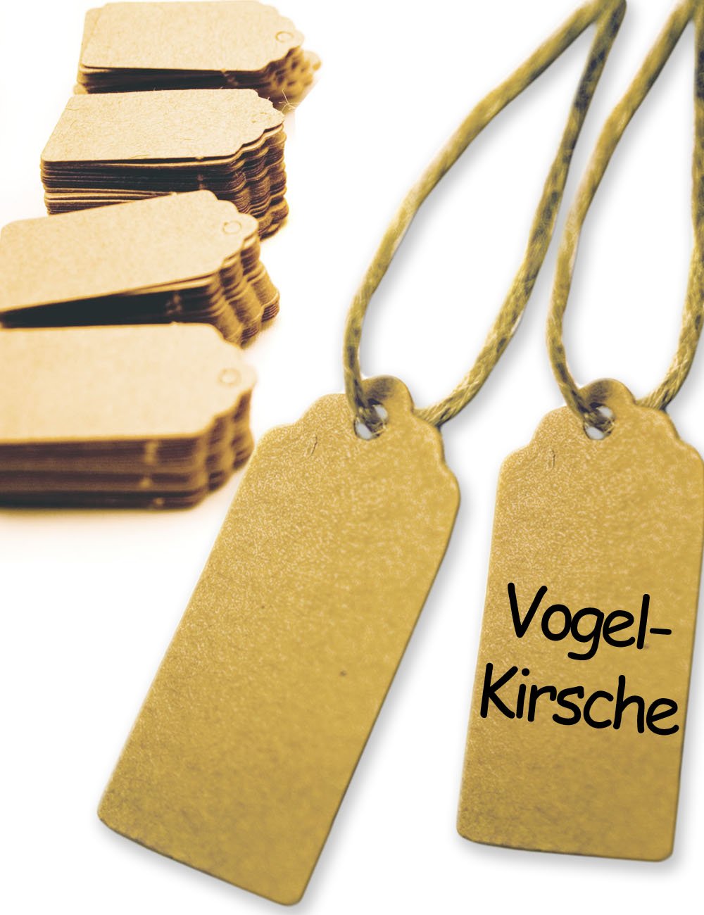 HOMETOOLS.EU - Pack of 100 natural plant pendants with jute string | for trees, shrubs, plants | writeable cardboard natural 3.5 cm x 2 cm