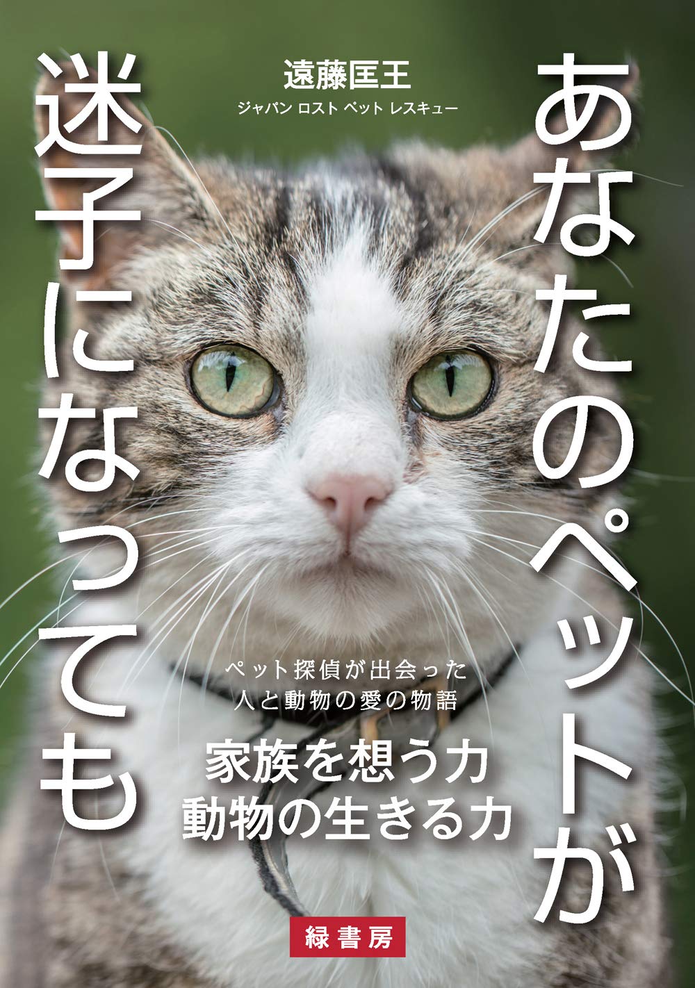 あなたのペットが迷子になっても ペット探偵が出会った人と動物の愛の物語 遠藤 匡王 本 通販 Amazon