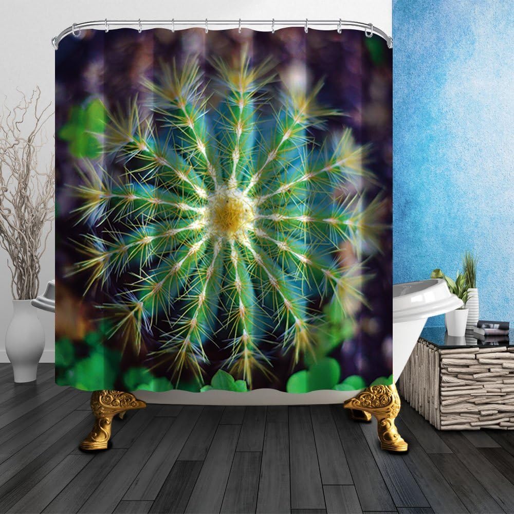 GoHEBE Cactus Shower Curtains By Top View Pricky Cactus Art Print Picture Bath Curtains 71X71 Inches