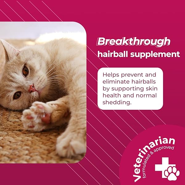 VETRISCIENCE HAIRBALL CONTROL CHEWS FOR CATS, OMEGA-3 AND FIBER SUPPLEMENT, SUPPORT DIGESTION AND SKIN AND COAT, TASTY SMALL BITES, CHICKEN, 60 COUNT