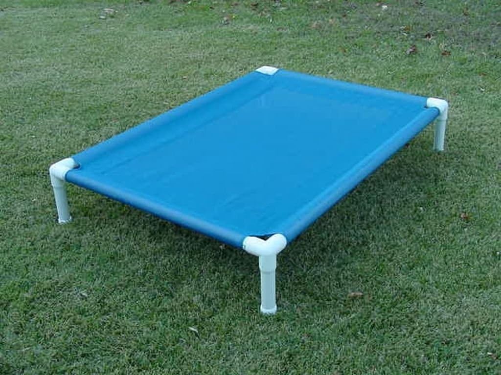 reptizoo reptile glass terrarium