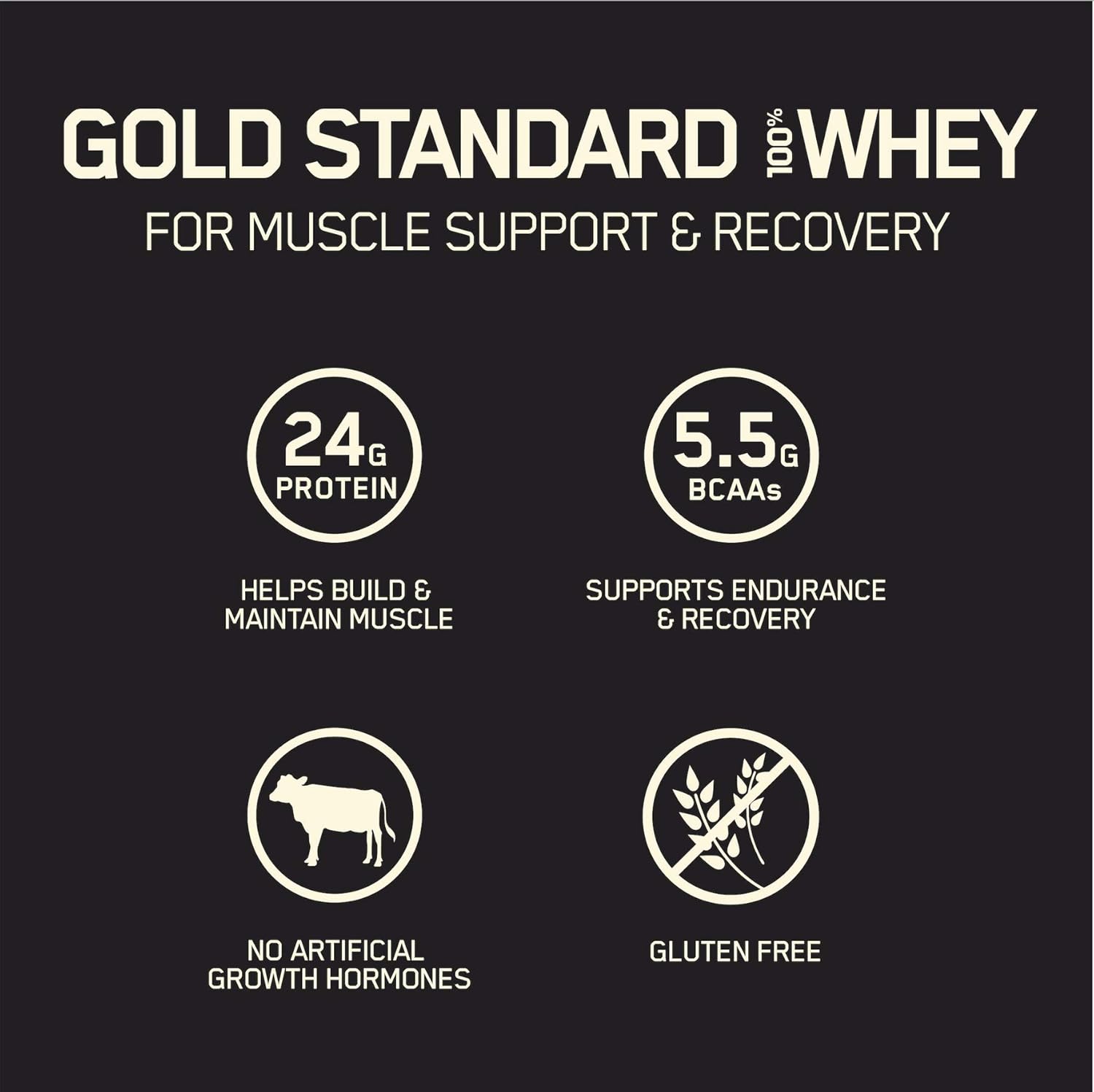 Optimum Nutrition Gold Standard 100% Whey Protein Powder, Double Rich Chocolate 2 Pound (Packaging May Vary): Prime Pantry
