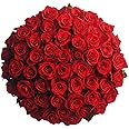 GlobalRose Fresh Cut Red Roses - 150 (6 Bundles of 25) Fresh Flowers Bouquet for Wedding