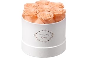 Beaulasting Roses Preserved Roses in a Box Long-Lasting Roses Last a Year Forever Romantic Gifts for Her Mother's Day Valentine's Day Anniversary Birthday (Round White Box, 7 Light Champagne Roses)