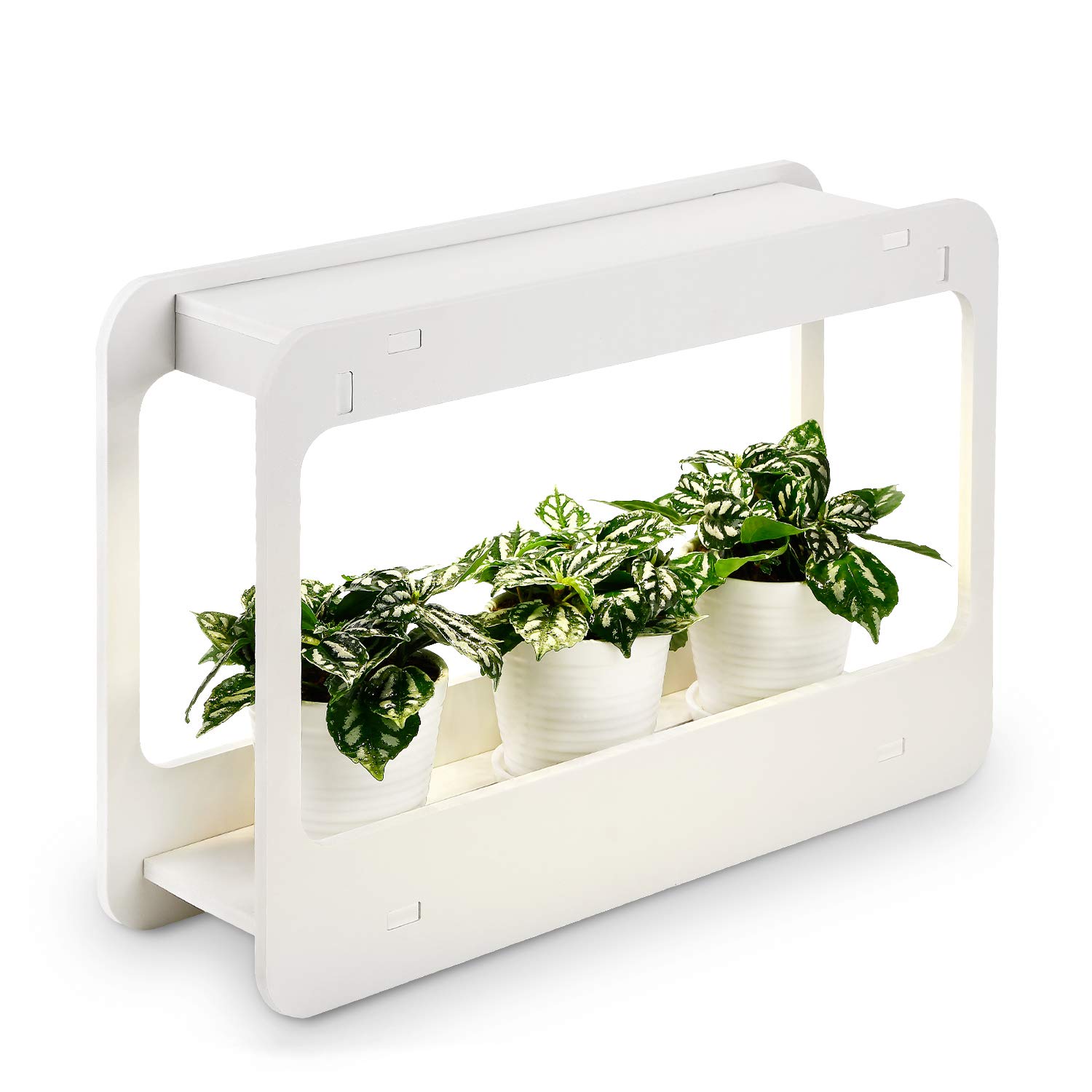 Plant Grow LED Light Kit, Indoor Herb Garden with Timer Function, 24V Low Voltage, Indoor Harvest Elite for Gourmet Or Plant Enthusiasts, Rosemary, Lavender, Seed, Pod Ornamental Gift