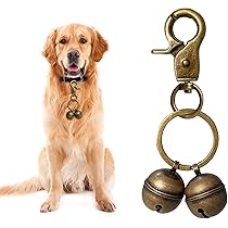 COLLIER POUR ANIMAUX De Compagnie Collier De Combat Réglable Pour Petit