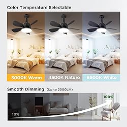 OSTIVE Socket Fan Light with Remote: 18'' Small