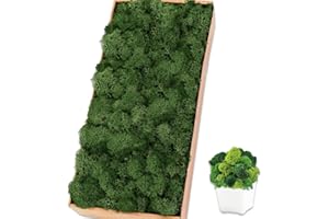 TCYPUHL Preserved Moss for Crafts Dark Green Reindeer Moss for Potted Plants, Craft Decorative Moss Decor for Wall Art, Dried Moss(1.1 lb, Dark Green)