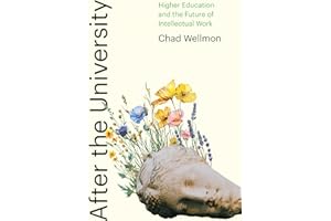 After the University: Higher Education and the Future of Intellectual Work