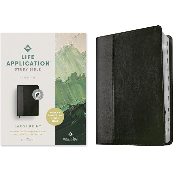 NLT Life Application Study Bible, Third Edition, Large Print