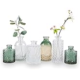 WILDMOS Bud Vase Set of 6, Small Flower Vases for Decorative, Gradient Glass and Embossed Vintage Style Mini Bottles for Home Décor, Centerpiece 3.3"-5.2''H(Clear+Green)