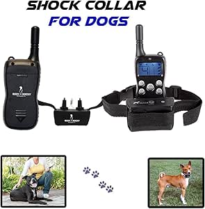 Amazon.com : Dog Training Collar with Remote Clear L.c.d Display with