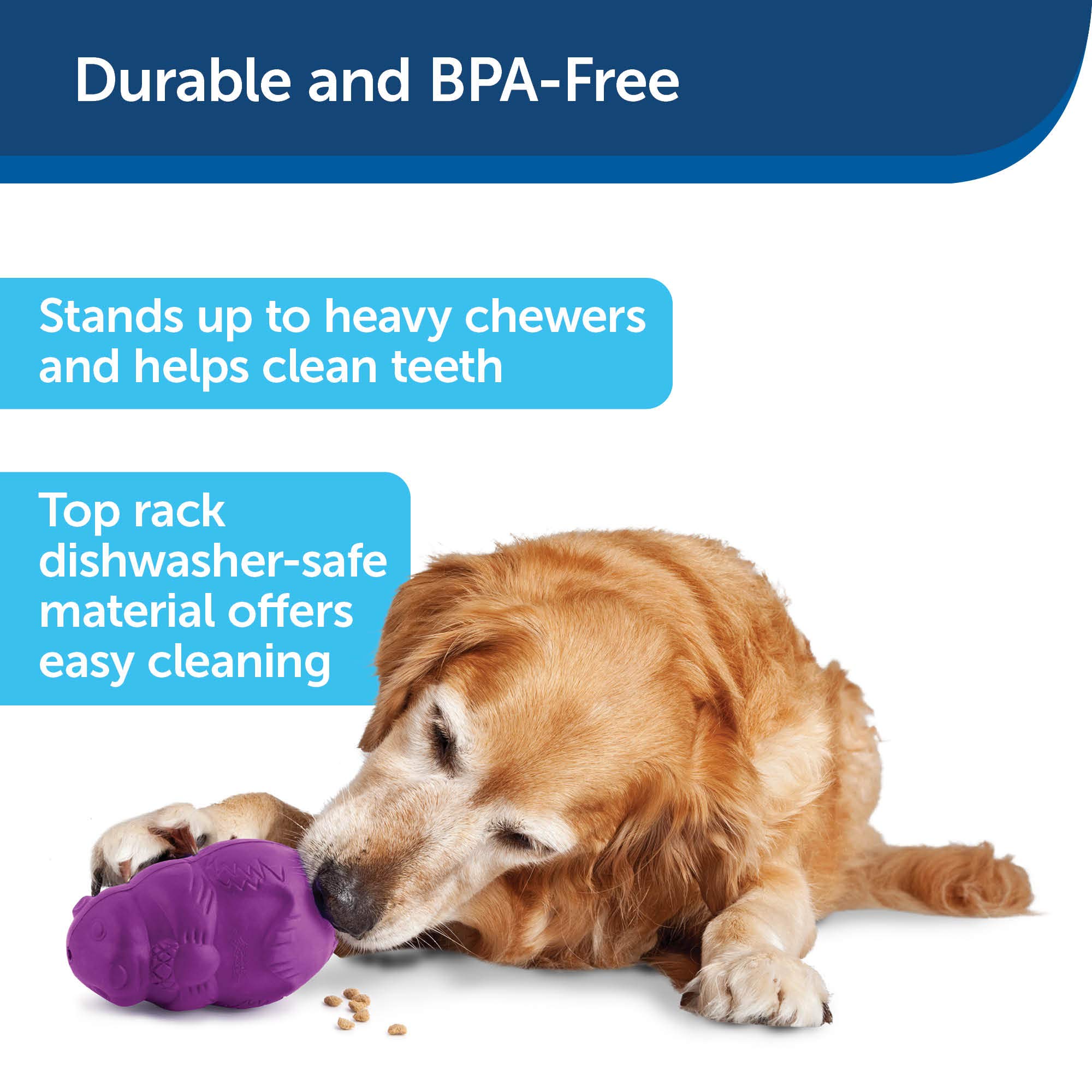 PetSafe Busy Buddy Squirrel Dude Dog Toy - Treat Dispensing Toy – Large