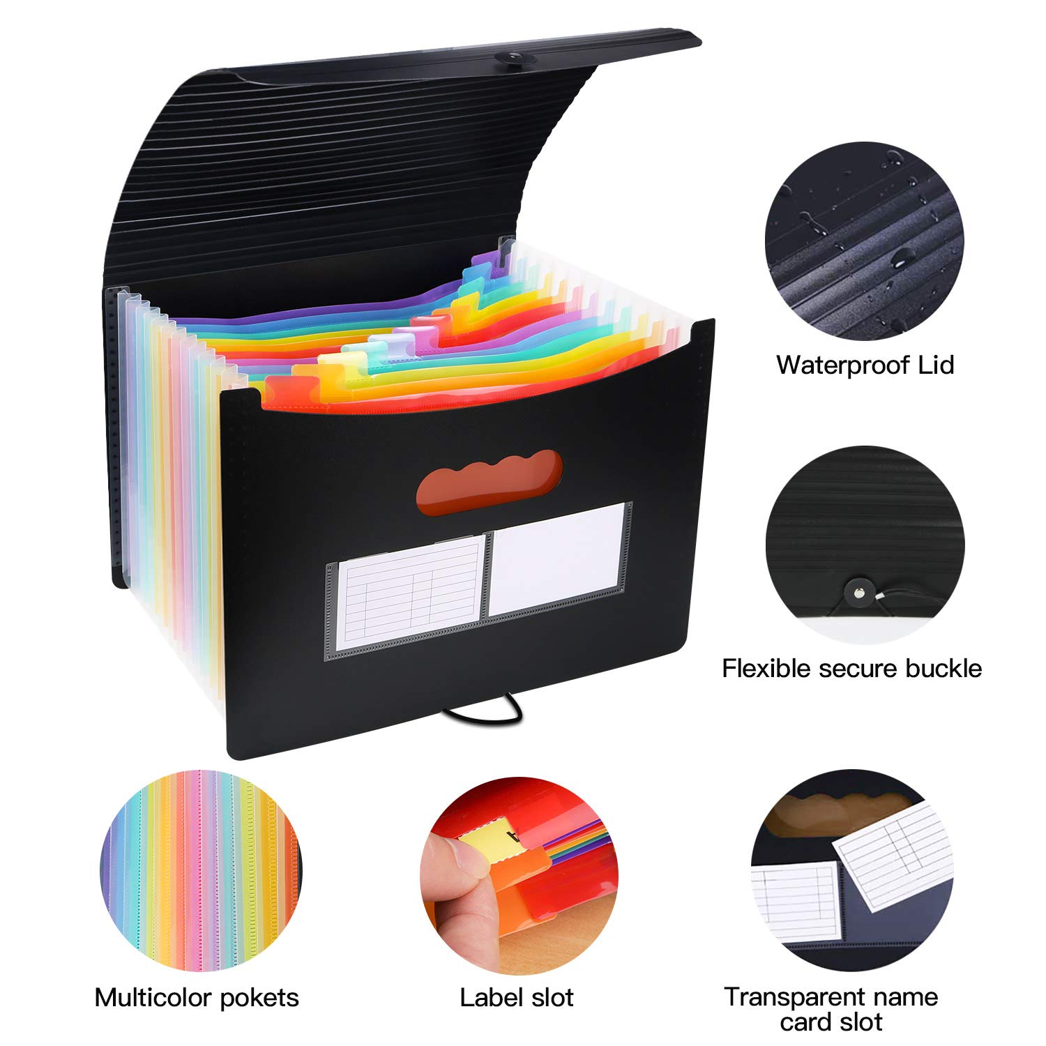 Carpeta Clasificadora ABClife Archivador acordeón 12 Bolsillos de gran